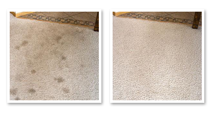 carpet cleaning