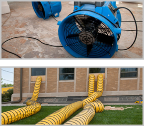 friendly and reliable service